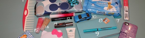 Purse Contents