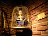 Caged