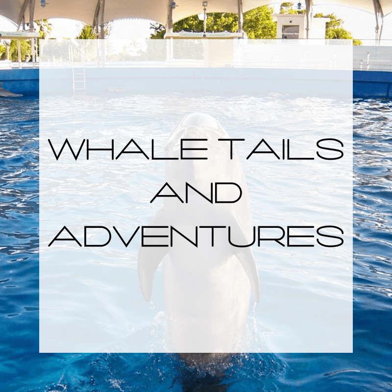 Whale Tails And Seaquarium Adventures