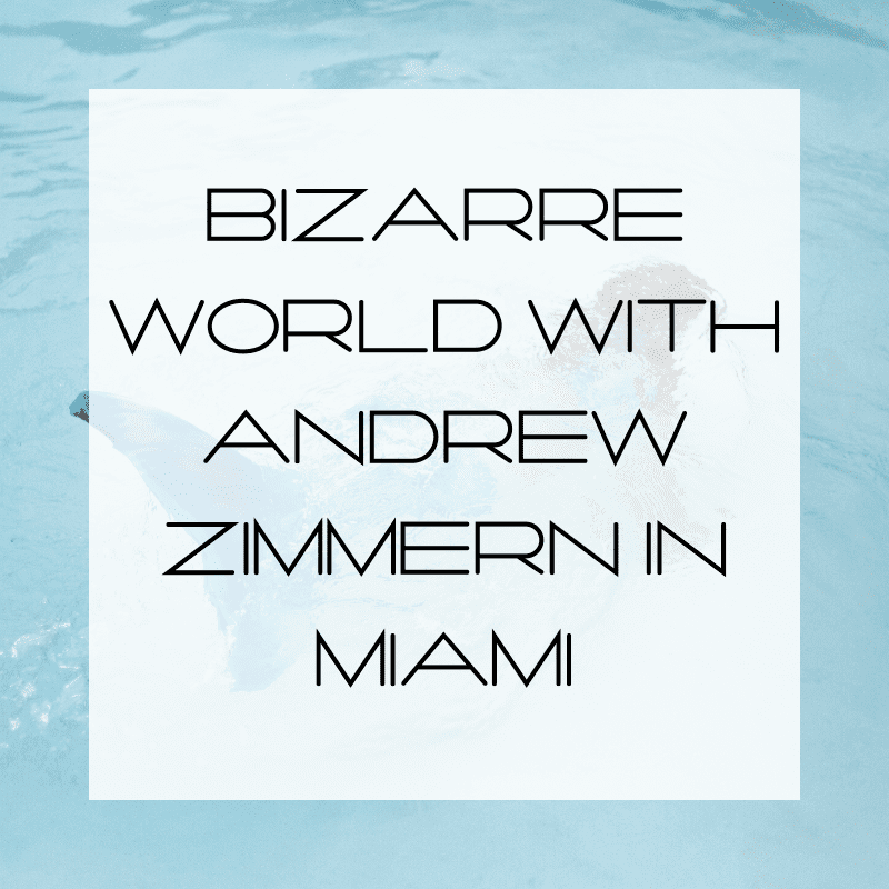 Bizarre World with Andrew Zimmern in Miami