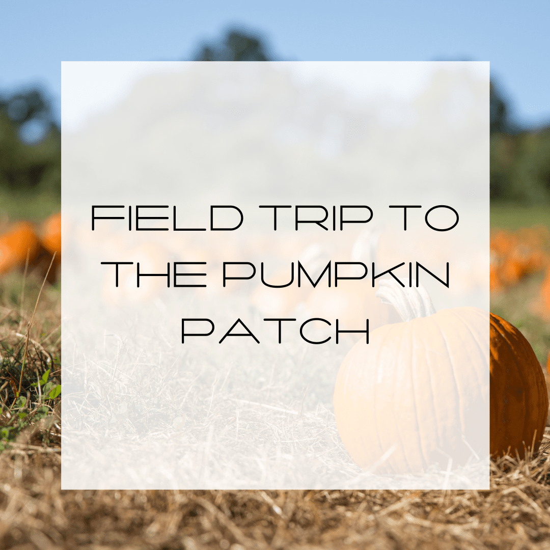 Field Trip to the Pumpkin Patch