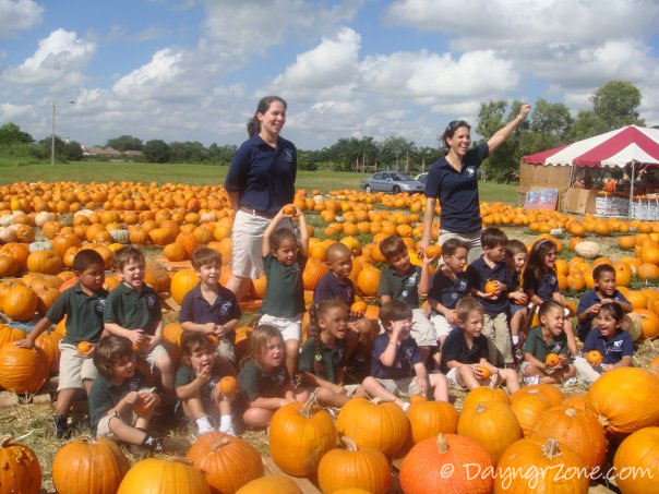 Kids at a pumpkin patch