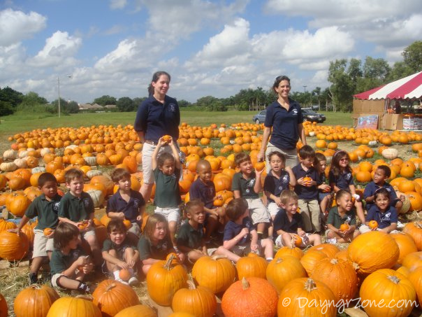 Kids at a pumpkin patch