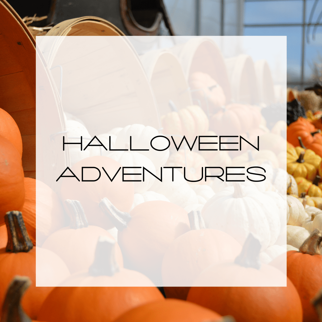 Halloween Adventures In The DayngrZone