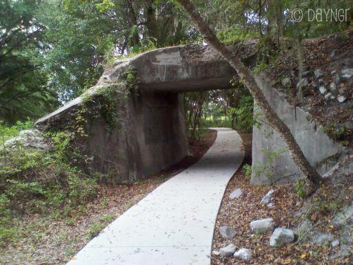 Payne's Prairie Trail