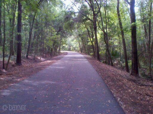 Payne's Prairie Trail