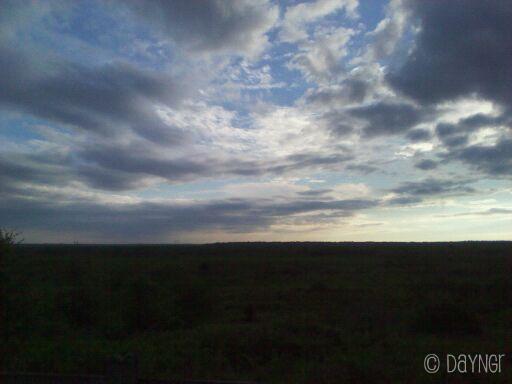 Payne's Prairie Sunset