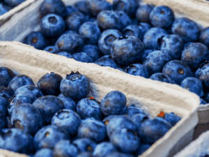 Fresh North Carolina Blueberries perfect for Blueberry Cobbler