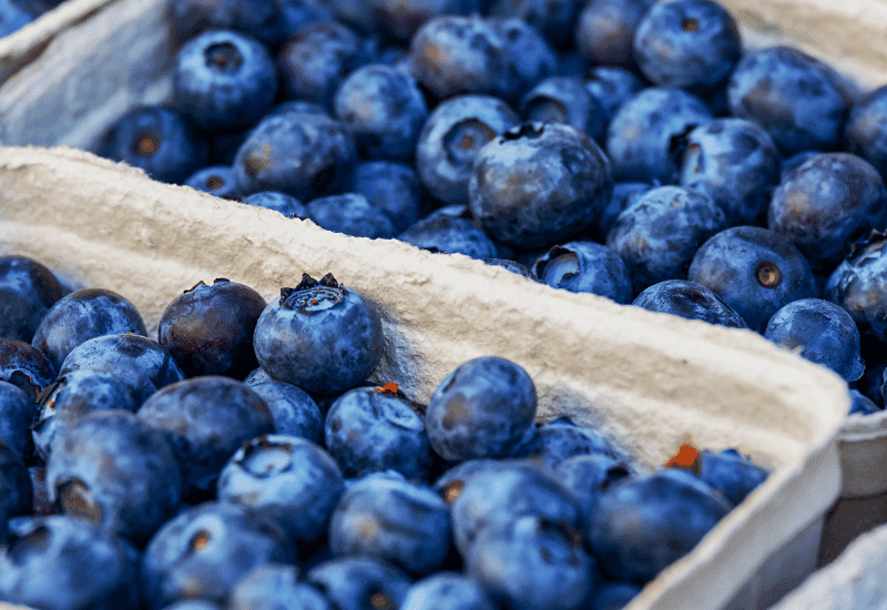 Fresh North Carolina Blueberries perfect for Blueberry Cobbler