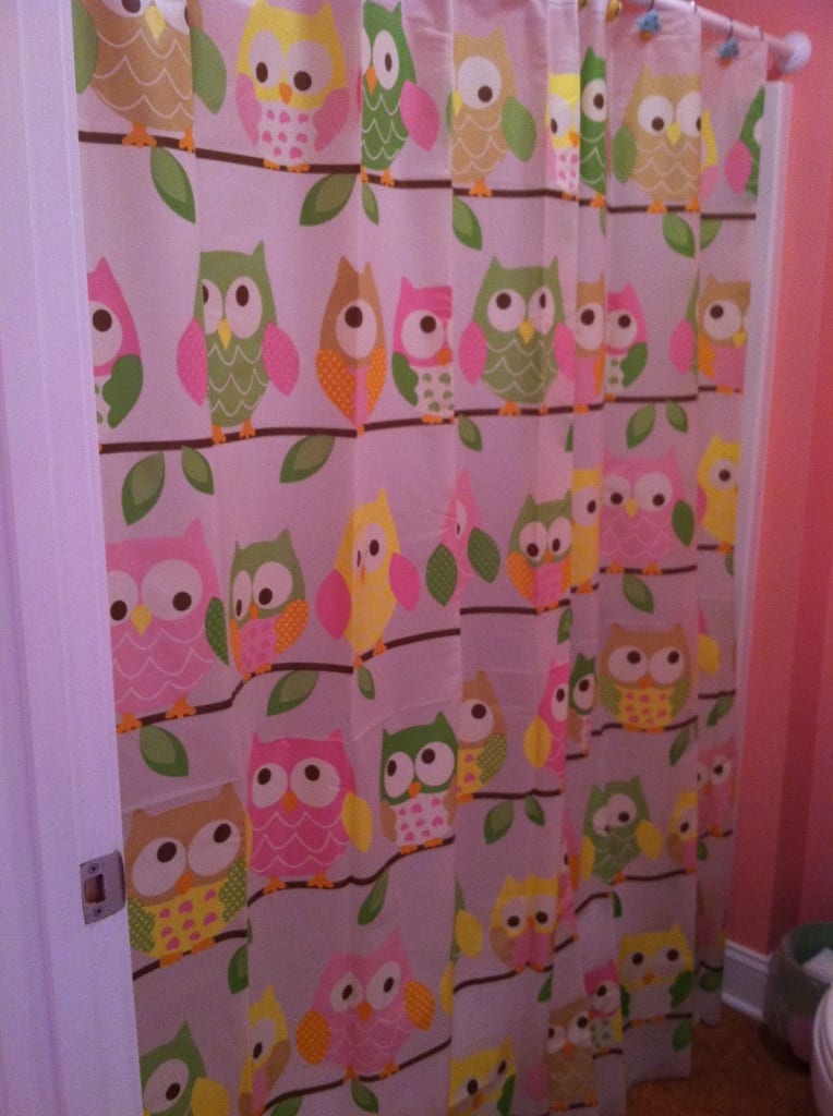 Owl Shower Curtain