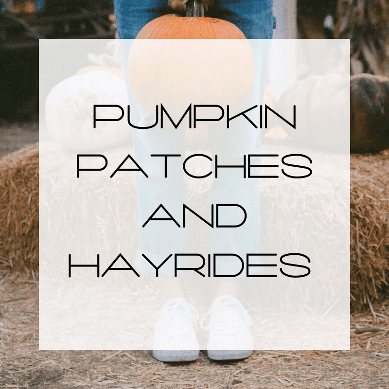 Pumpkin Patches, Hayrides and Making Memories