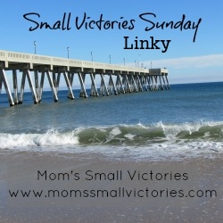 Small Victories Sunday Linky