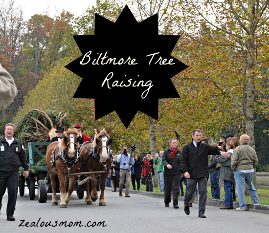 Holidays at Biltmore #biltmoretreeraising -zealousmom.com #Christmas #Asheville #NorthCarolina