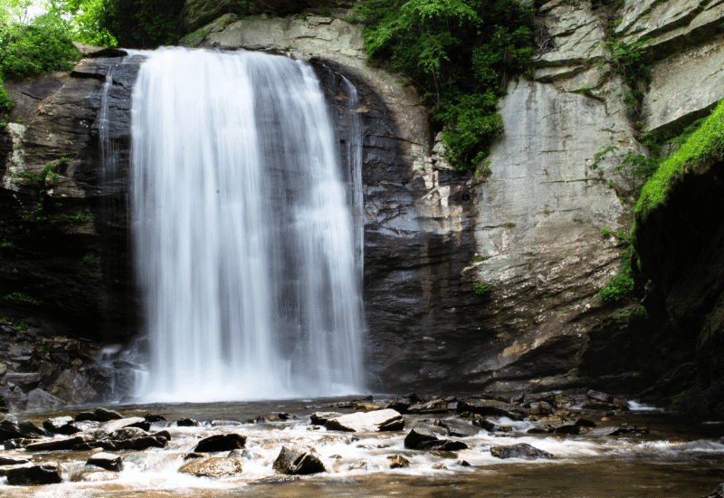 Best of Brevard - Places to Visit