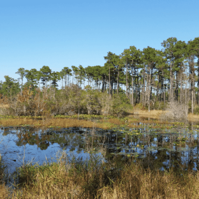 hiking in the fall in eastern nc