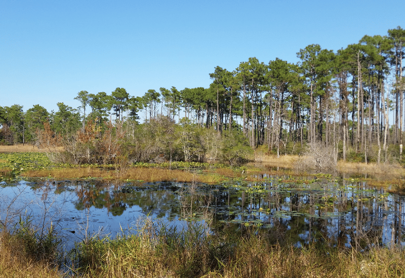hiking in the fall in eastern nc