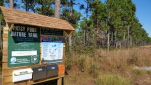 Patsy Pond Hiking