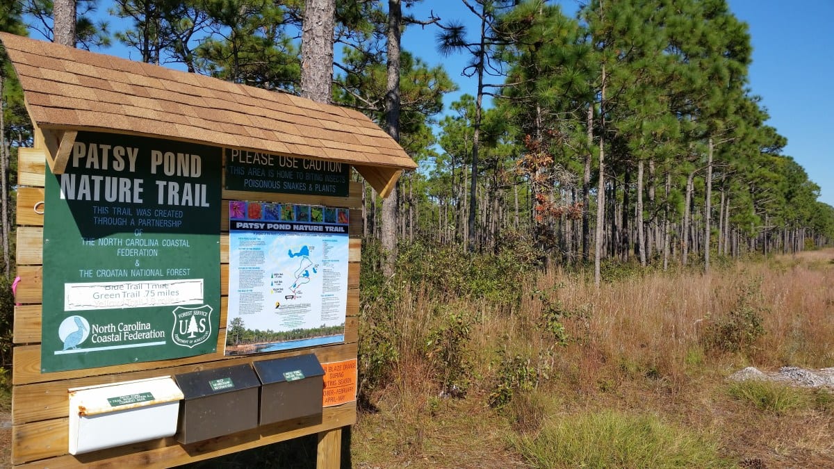 Patsy Pond Hiking 