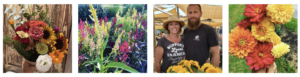 Vacationer supported agriculture, Two Bees Farm fresh cut flowers