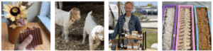 Farm-to-table fresh local made goat milk soap, Vacationer supported agriculture, homemade goat milk lard soap