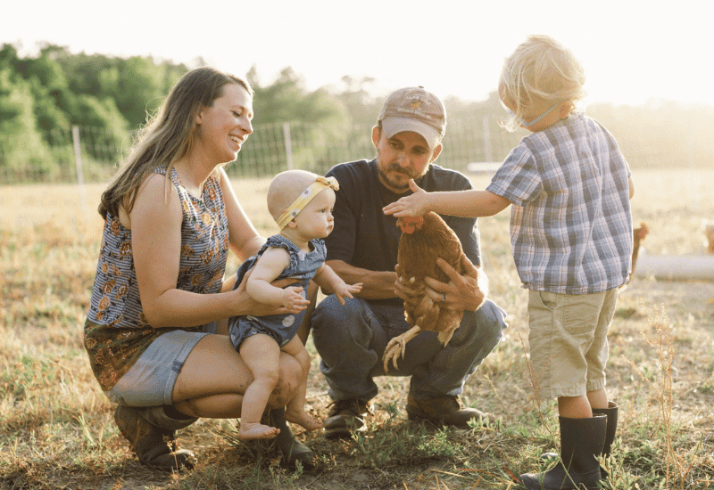 farm to table fresh produce deliveries on the crystal coast
