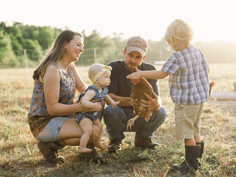 farm to table fresh produce deliveries on the crystal coast