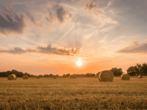 august 2023 inspiration