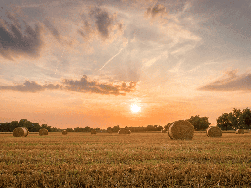 august 2023 inspiration