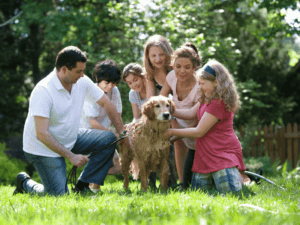 choosing a dog for your family