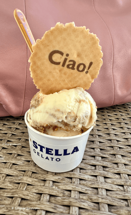 handcrafted tiramisu gelato